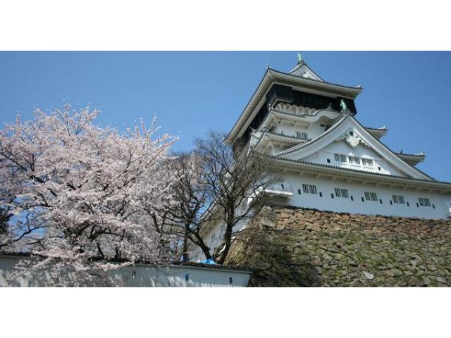 小倉城桜まつり1