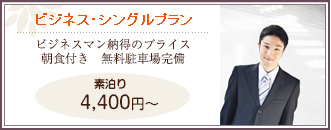 ビジネスシングルプラン
