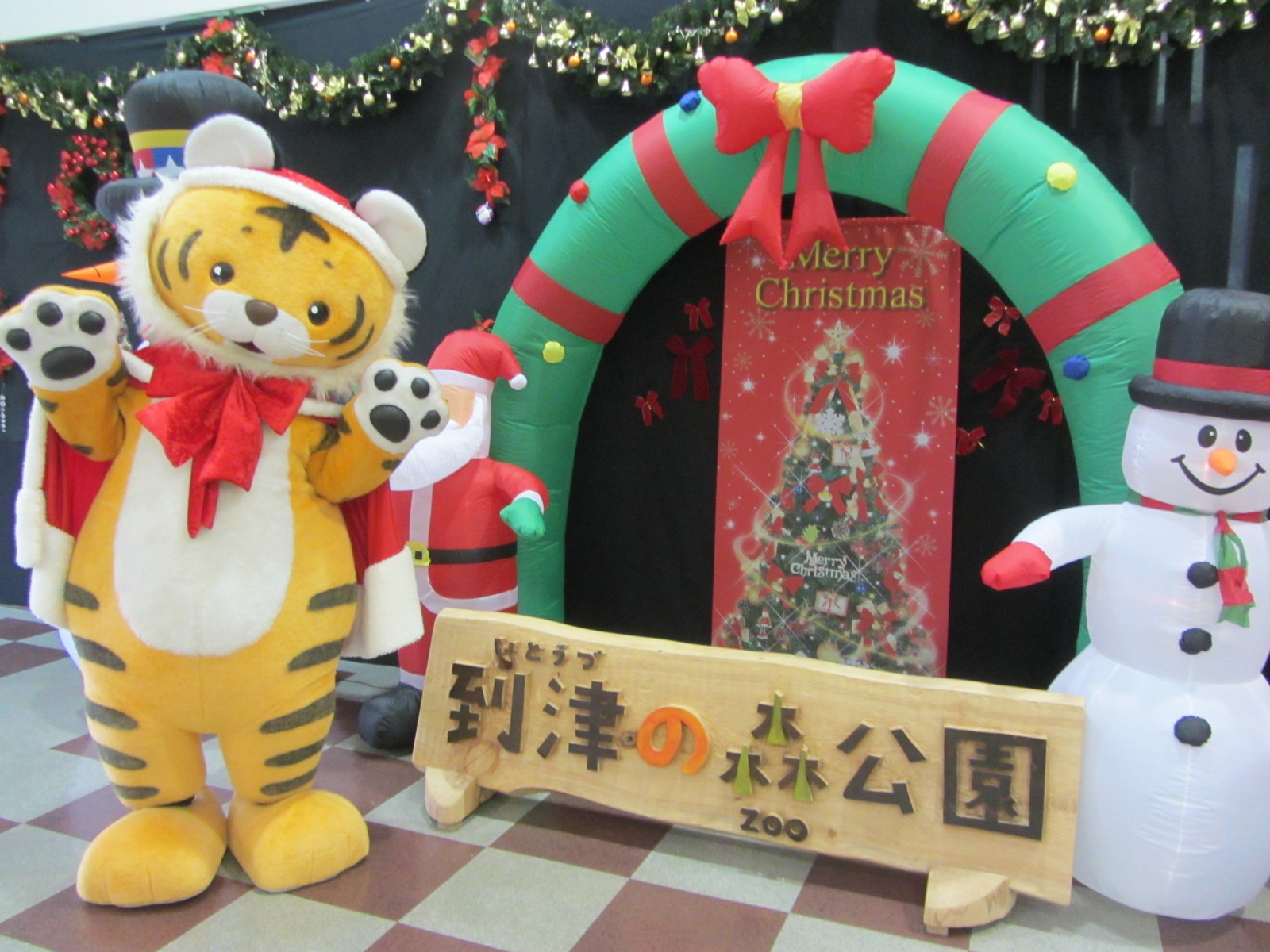 到津の森公園　クリスマスフェア1