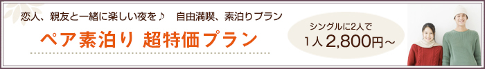 素泊り　得々、超特価プラン
